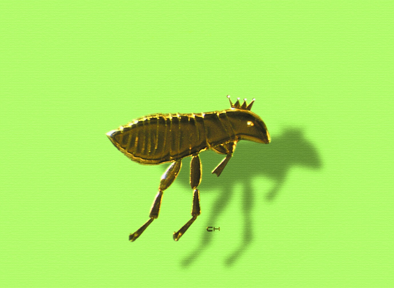 Megpatkolt aranybolha